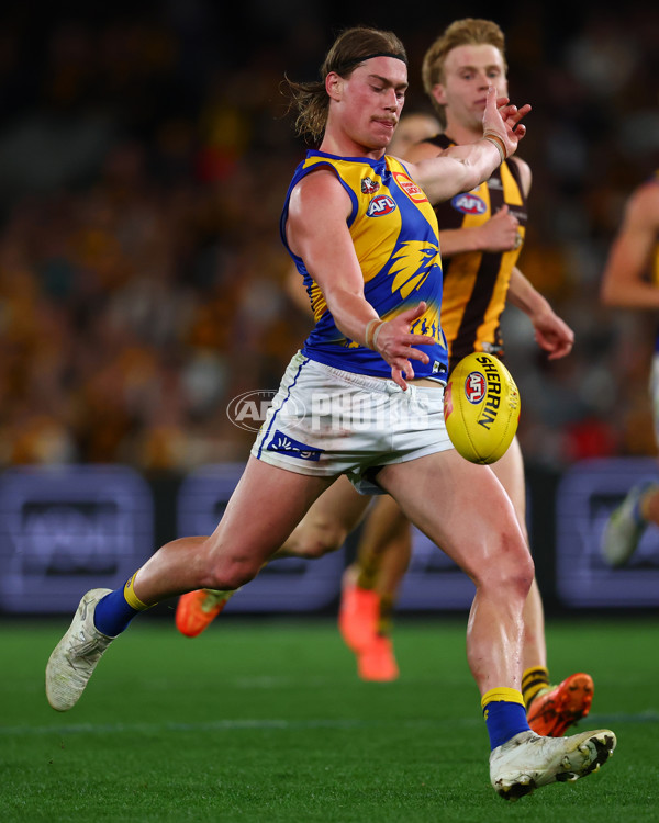 AFL 2025 Round 07 - Hawthorn v West Coast - A-59034279