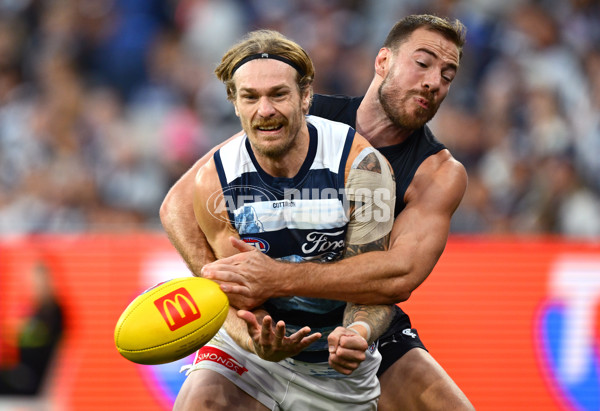 AFL 2025 Round 07 - Carlton v Geelong - A-59034534