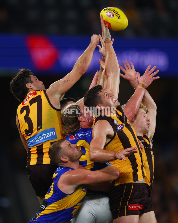 AFL 2025 Round 07 - Hawthorn v West Coast - A-59034558