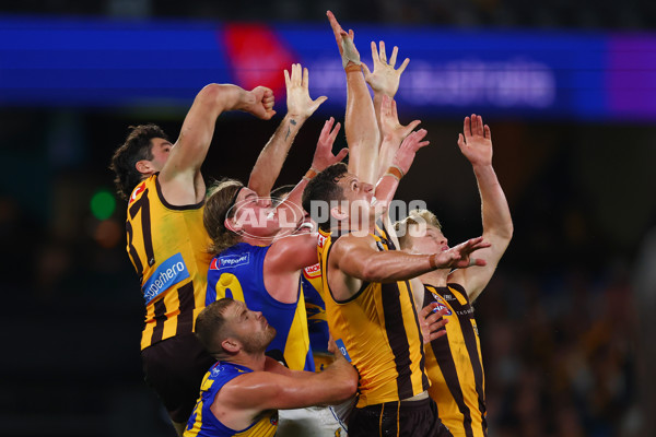 AFL 2025 Round 07 - Hawthorn v West Coast - A-59034560