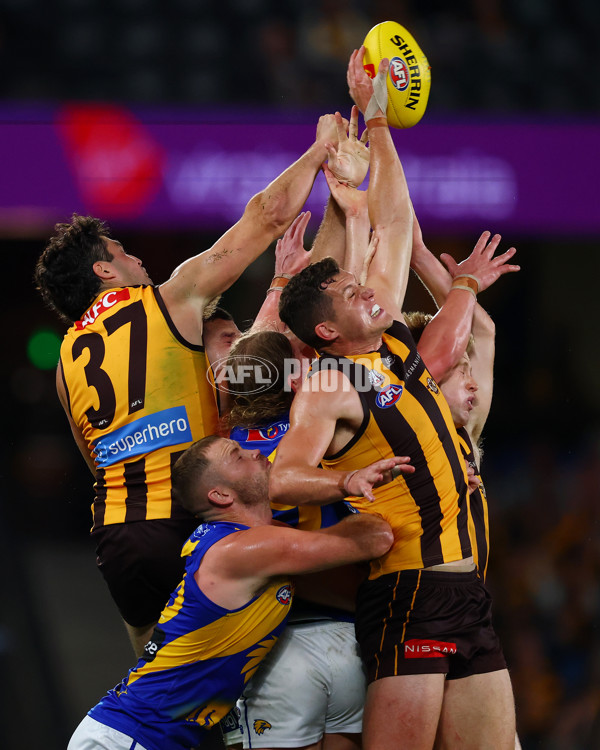 AFL 2025 Round 07 - Hawthorn v West Coast - A-59034561