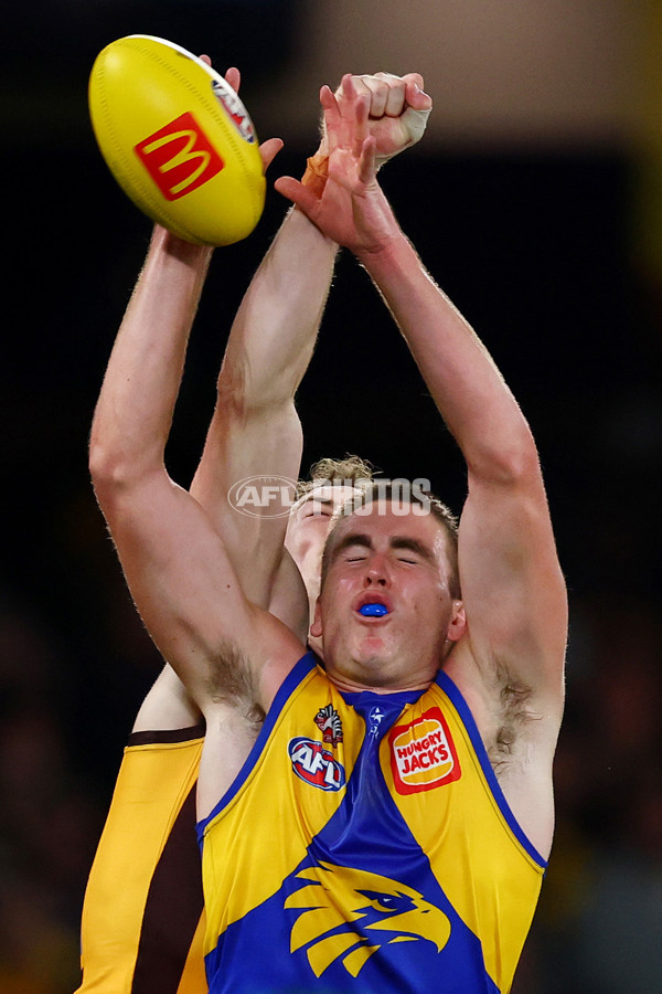 AFL 2025 Round 07 - Hawthorn v West Coast - A-59034562