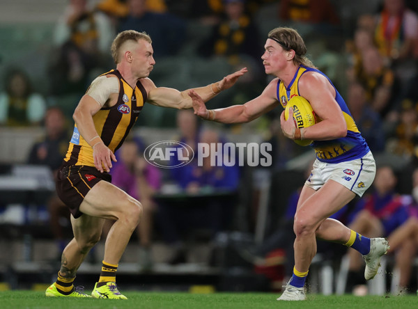 AFL 2025 Round 07 - Hawthorn v West Coast - A-59034570