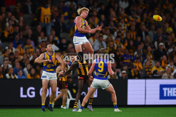 AFL 2025 Round 07 - Hawthorn v West Coast - A-59034572