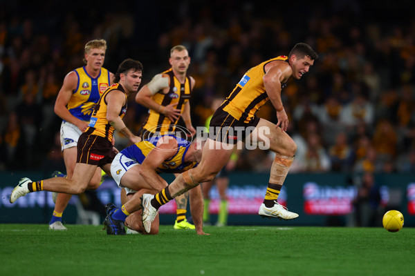 AFL 2025 Round 07 - Hawthorn v West Coast - A-59034579