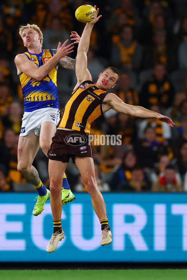 AFL 2025 Round 07 - Hawthorn v West Coast - A-59034580