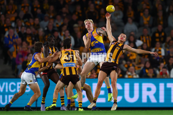 AFL 2025 Round 07 - Hawthorn v West Coast - A-59034581