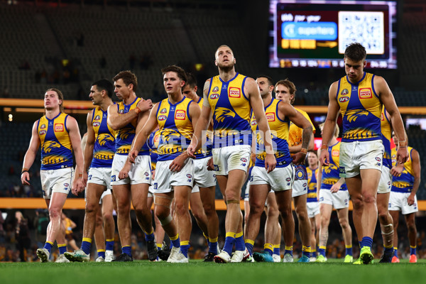 AFL 2025 Round 07 - Hawthorn v West Coast - A-59034594