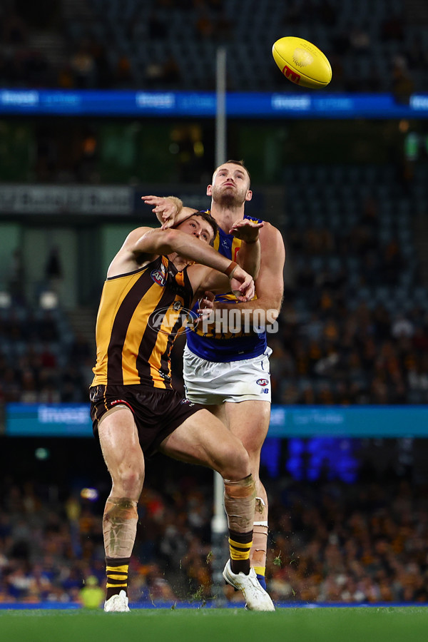 AFL 2025 Round 07 - Hawthorn v West Coast - A-59034600