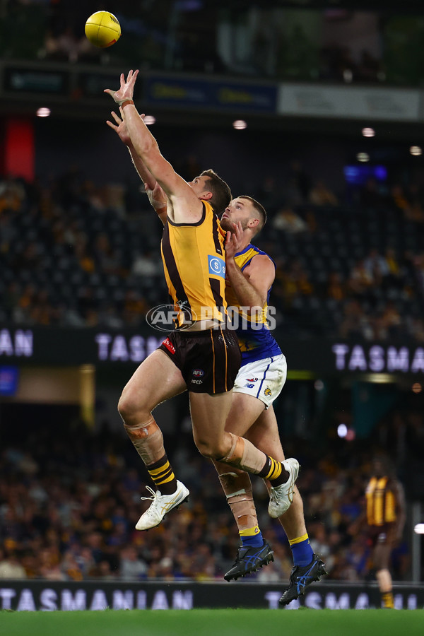 AFL 2025 Round 07 - Hawthorn v West Coast - A-59037031