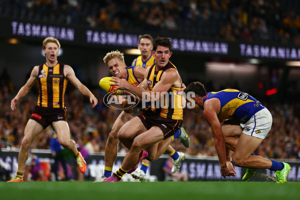 AFL 2025 Round 07 - Hawthorn v West Coast - A-59037041