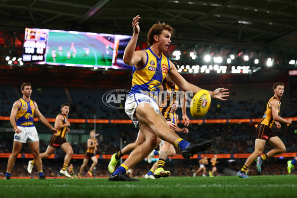 AFL 2025 Round 07 - Hawthorn v West Coast - A-59037042