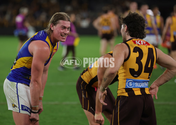 AFL 2025 Round 07 - Hawthorn v West Coast - A-59037047