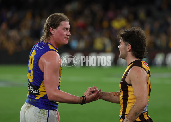 AFL 2025 Round 07 - Hawthorn v West Coast - A-59037050