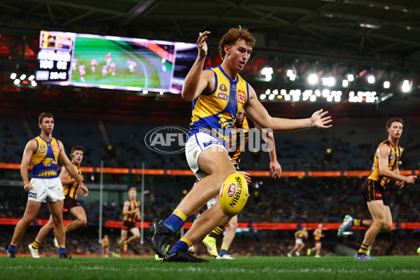 AFL 2025 Round 07 - Hawthorn v West Coast - A-59037329