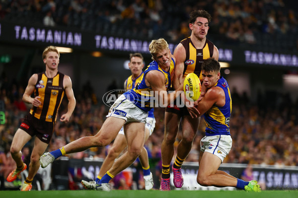 AFL 2025 Round 07 - Hawthorn v West Coast - A-59037330