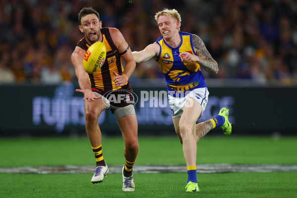 AFL 2025 Round 07 - Hawthorn v West Coast - A-59037335