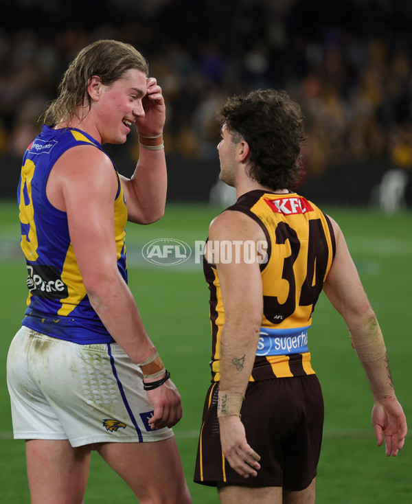 AFL 2025 Round 07 - Hawthorn v West Coast - A-59037336