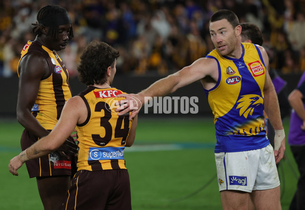 AFL 2025 Round 07 - Hawthorn v West Coast - A-59037356