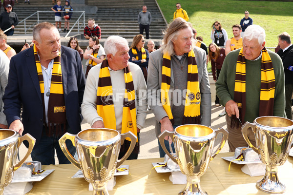 AFL 2025 Media - Hawthorn Media Opportunity 300425 - A-59039429