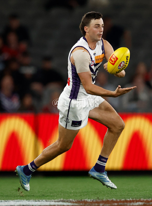 AFL 2025 Round 08 - St Kilda v Fremantle - A-59132027