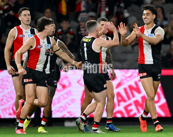 AFL 2025 Round 08 - St Kilda v Fremantle - A-59132056