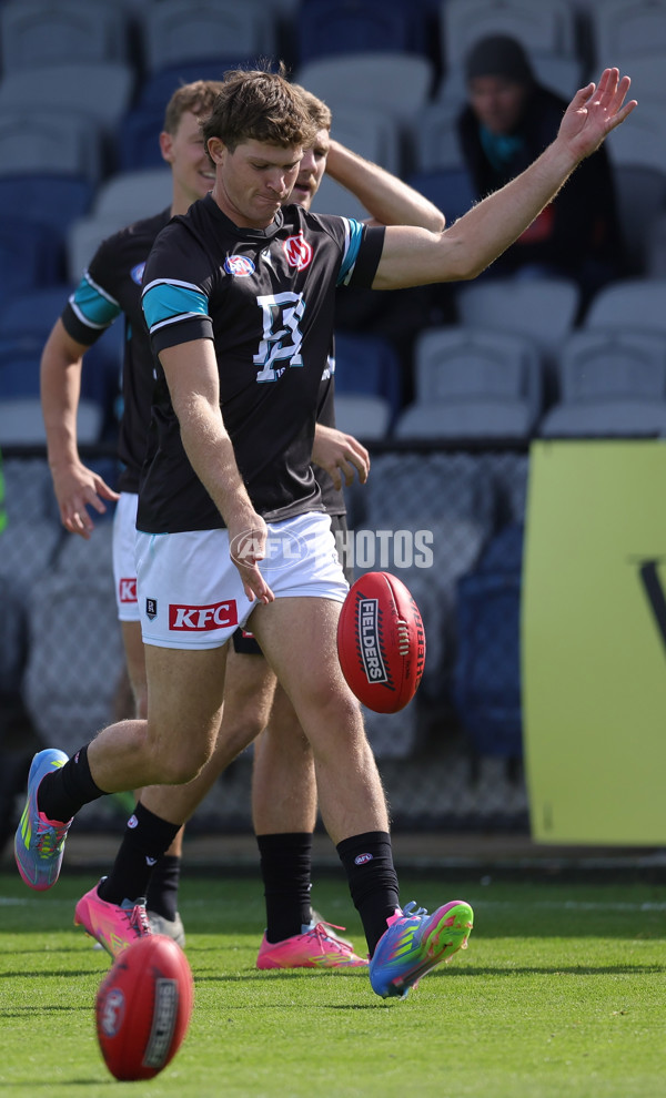 AFL 2025 Round 08 - Western Bulldogs v Port Adelaide - A-59140804