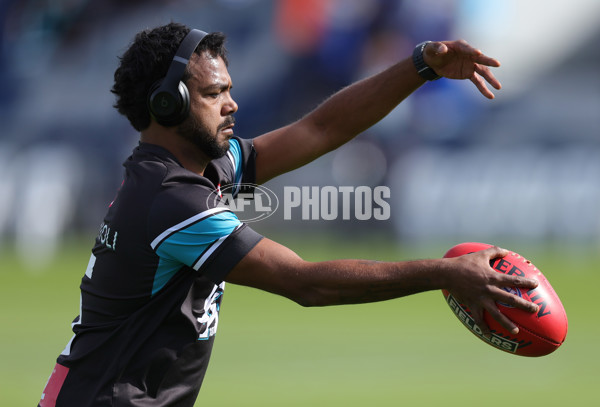 AFL 2025 Round 08 - Western Bulldogs v Port Adelaide - A-59140805