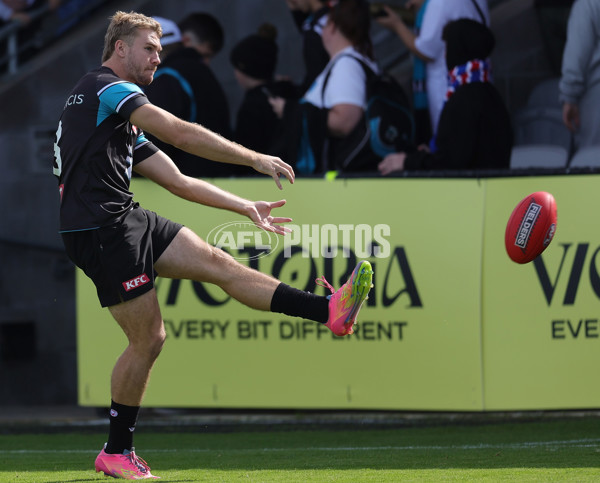 AFL 2025 Round 08 - Western Bulldogs v Port Adelaide - A-59140807