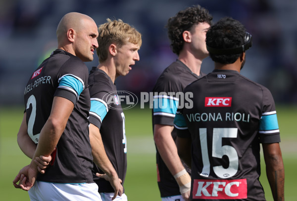 AFL 2025 Round 08 - Western Bulldogs v Port Adelaide - A-59140808