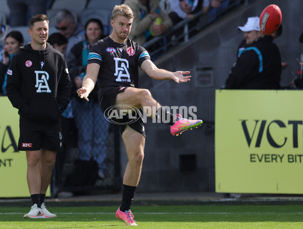 AFL 2025 Round 08 - Western Bulldogs v Port Adelaide - A-59140810