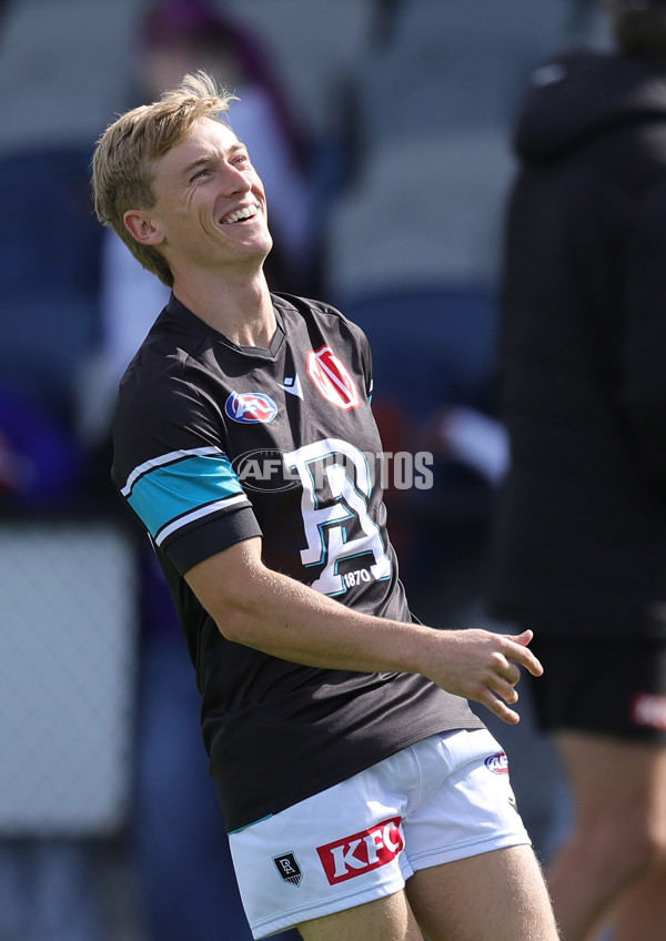 AFL 2025 Round 08 - Western Bulldogs v Port Adelaide - A-59140812