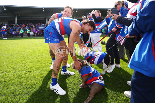 AFL 2025 Round 08 - Western Bulldogs v Port Adelaide - A-59140837