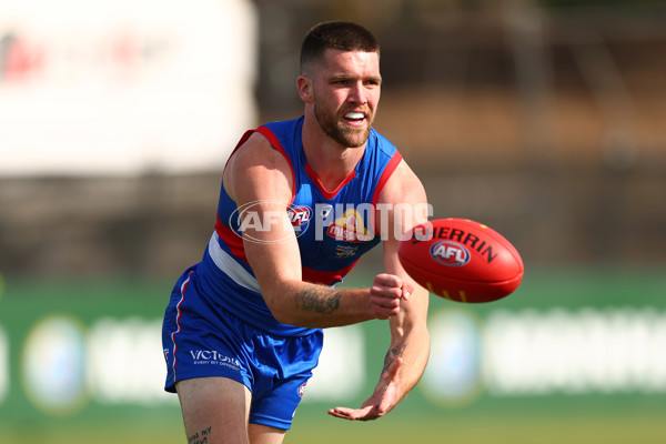 AFL 2025 Round 08 - Western Bulldogs v Port Adelaide - A-59140850