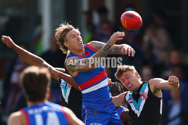 AFL 2025 Round 08 - Western Bulldogs v Port Adelaide - A-59140851