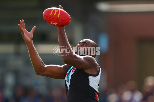 AFL 2025 Round 08 - Western Bulldogs v Port Adelaide - A-59140852