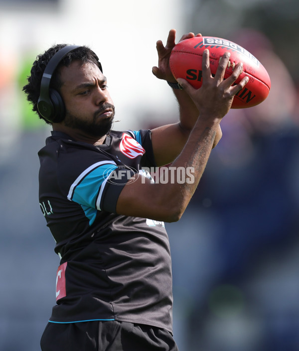 AFL 2025 Round 08 - Western Bulldogs v Port Adelaide - A-59141388