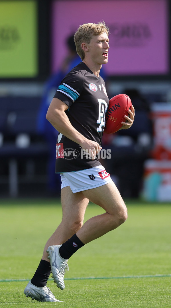 AFL 2025 Round 08 - Western Bulldogs v Port Adelaide - A-59141393