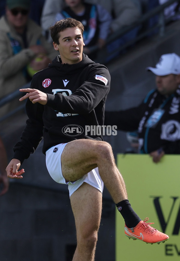 AFL 2025 Round 08 - Western Bulldogs v Port Adelaide - A-59141395