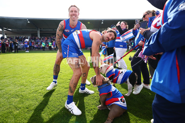 AFL 2025 Round 08 - Western Bulldogs v Port Adelaide - A-59141417