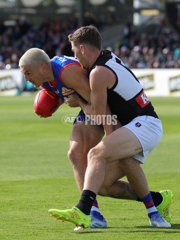 AFL 2025 Round 08 - Western Bulldogs v Port Adelaide - A-59141435