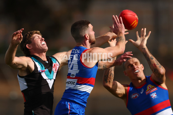 AFL 2025 Round 08 - Western Bulldogs v Port Adelaide - A-59141441