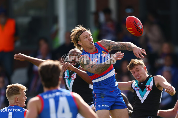 AFL 2025 Round 08 - Western Bulldogs v Port Adelaide - A-59141442