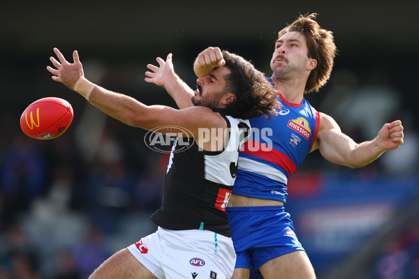 AFL 2025 Round 08 - Western Bulldogs v Port Adelaide - A-59141448