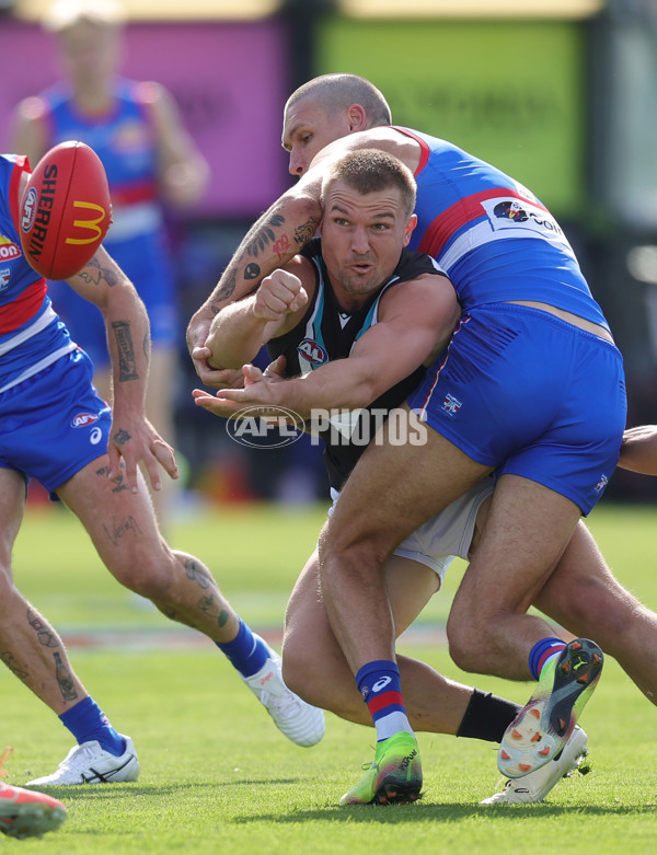 AFL 2025 Round 08 - Western Bulldogs v Port Adelaide - A-59141449