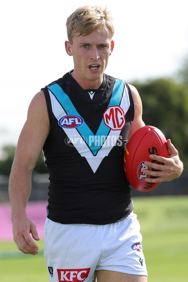 AFL 2025 Round 08 - Western Bulldogs v Port Adelaide - A-59141456