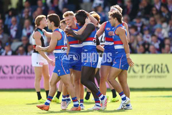 AFL 2025 Round 08 - Western Bulldogs v Port Adelaide - A-59141457