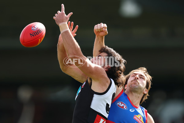 AFL 2025 Round 08 - Western Bulldogs v Port Adelaide - A-59143383