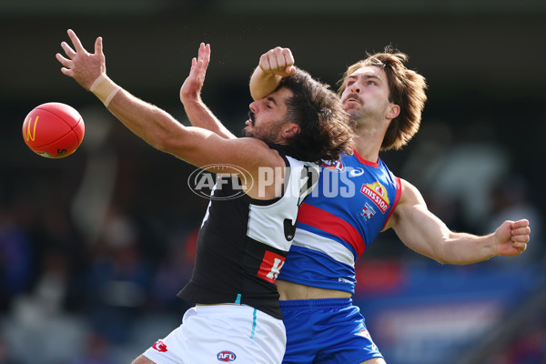 AFL 2025 Round 08 - Western Bulldogs v Port Adelaide - A-59143385