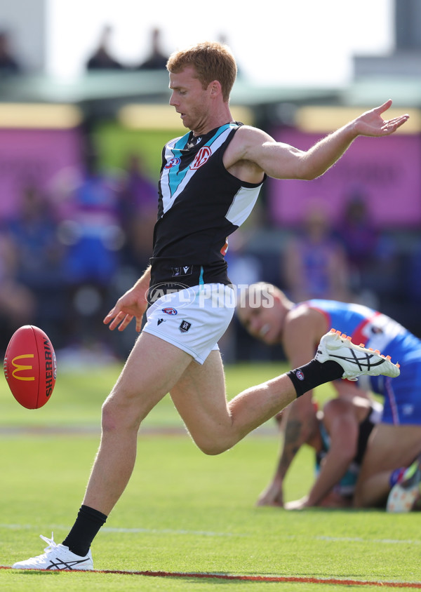 AFL 2025 Round 08 - Western Bulldogs v Port Adelaide - A-59143393